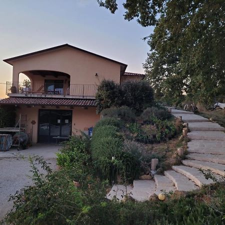 Penzion La Residenza Di Campagna Manciano Exteriér fotografie