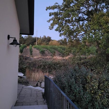 Penzion La Residenza Di Campagna Manciano Exteriér fotografie