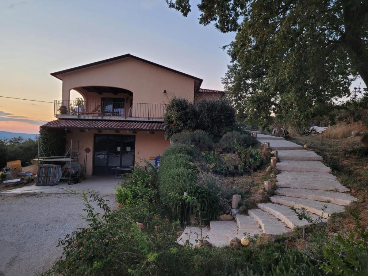 Penzion La Residenza Di Campagna Manciano Exteriér fotografie